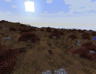Biomes O’ Plenty - mod Minecraft