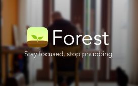 Application Forest
