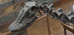 Dinosaure MNHN