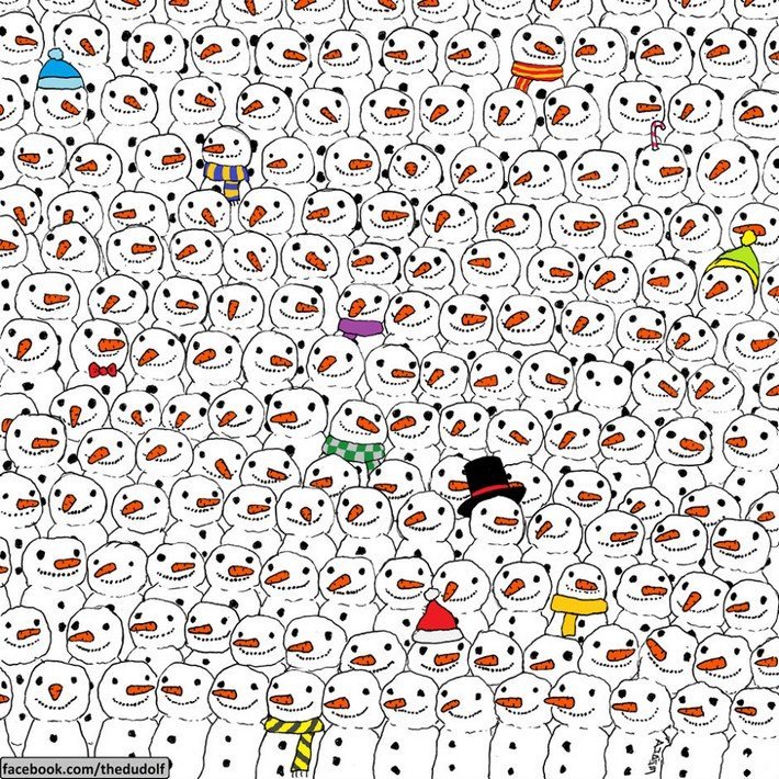 Où est le panda - illustration
