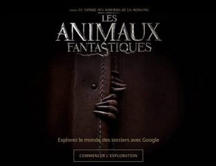 Animaux Fantastiques Google