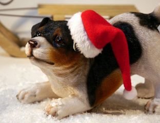 Noël !