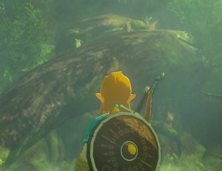 The Legend of Zelda: Breath of the Wild