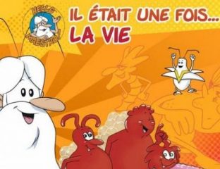 Il était une fois la vie