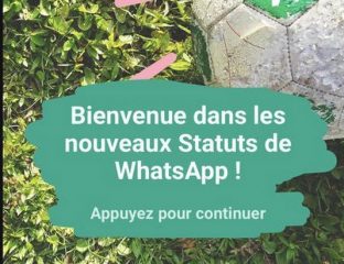 statut whatsapp