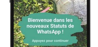statut whatsapp