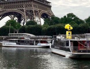 snapbots france tour eiffel