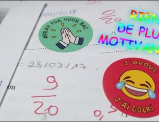 Stickers Monsieur le Prof