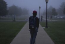 orientation post-bac