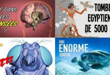 apprendre youtube 57