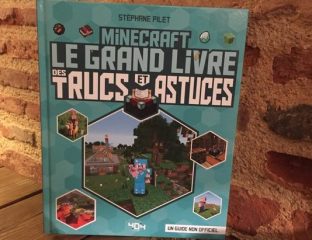 minecraft-le-grand-livre-trucs-astuces