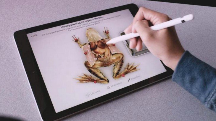 ipad dissection grenouille