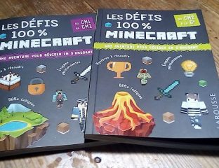 Les défis 100 % Minecraft