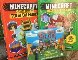 minecraft concours