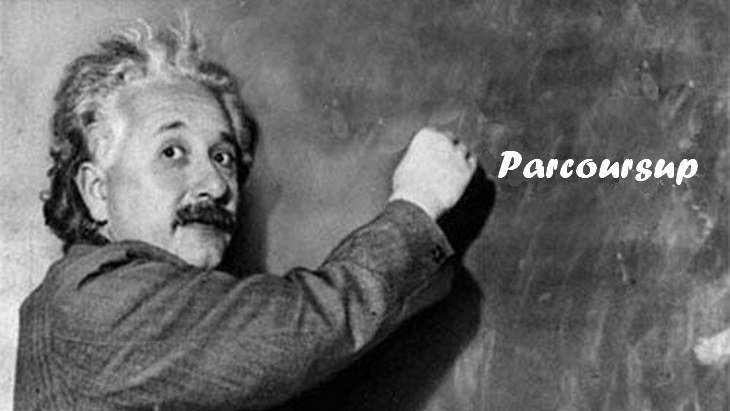 parcoursup einstein