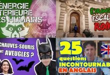apprendre youtube 83