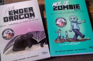 minecraft books 404 éditions