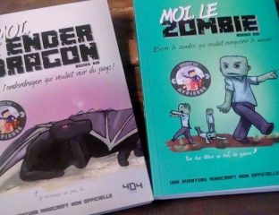 minecraft books 404 éditions