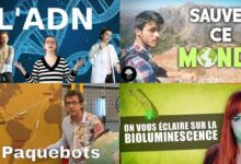 apprendre avec youtube 85