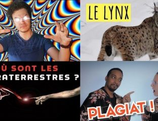 Apprendre avec YouTube n°91