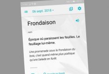 Mot du Jour