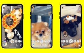 snapchat lenses chiens