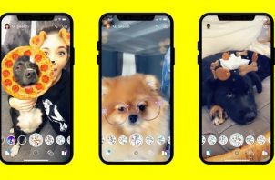 snapchat lenses chiens