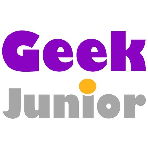 Logo Geek Junior