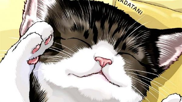 Si tu aimes les chats, il faut lire le manga "Félin pour l'autre !" (T1