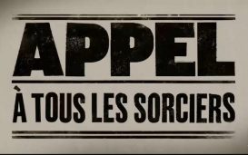 Harry Potter Wizards Sorcier