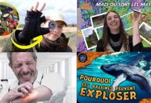 Apprendre avec YouTube #132