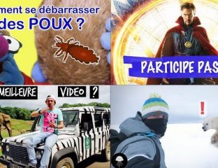 Apprendre avec YouTube #133