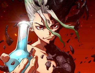 dr stone