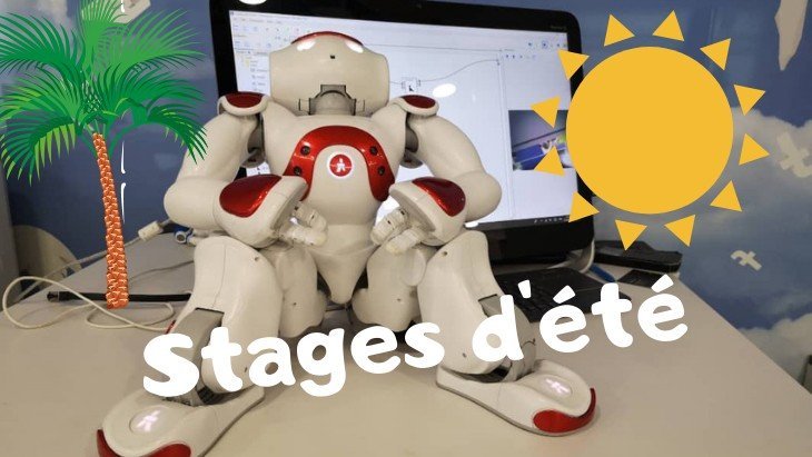 Stage d'été coding