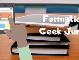 Formation Geek Junior - Souris Grise