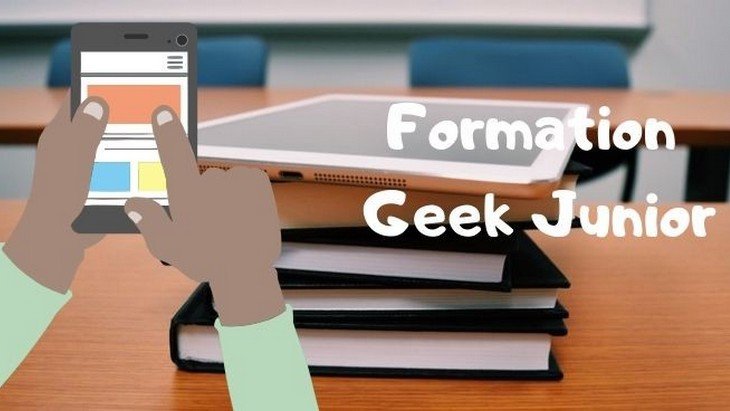 Formation Geek Junior - Souris Grise