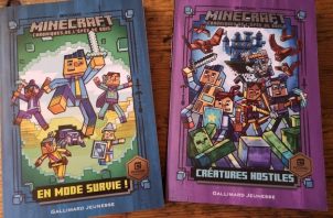 Minecraft Chroniques de l'épée de bois