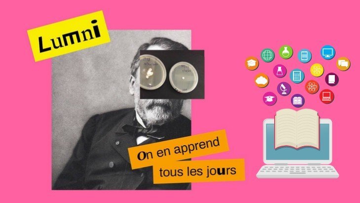 Lumni plateforme web éducative