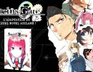 steins gate