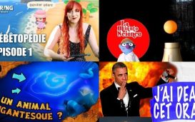 Apprendre avec Youtube #175