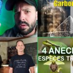 Apprendre avec YouTube #179 : Le Grand JD, Biosfear, Science Etonnante, Startdust, Lumni…
