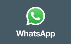 logo couleur whatsapp