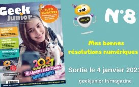 Geek Junior n°8