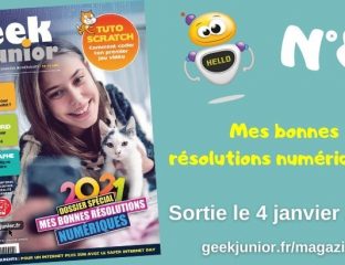 Geek Junior n°8