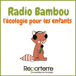 Radio de bambú