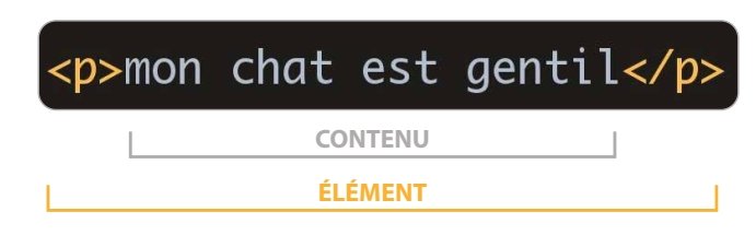 anatomie élément html