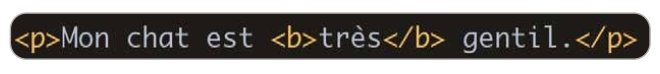anatomie élément html