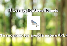 #1 Les applications du mois