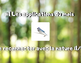 #1 Les applications du mois