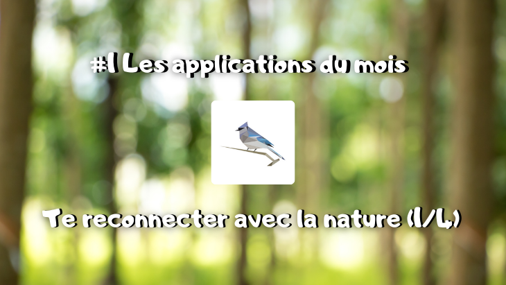 #1 Les applications du mois